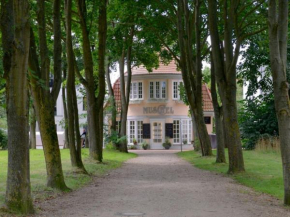 Muschel Whg Schildkröte, Boltenhagen